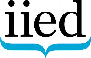 IIED_standard_logo（蓝色）.JPG
